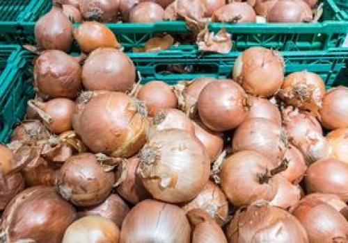 Wysłali cebulę do Polski. Zarobili 216 mln zł. Skąd pochodzi?