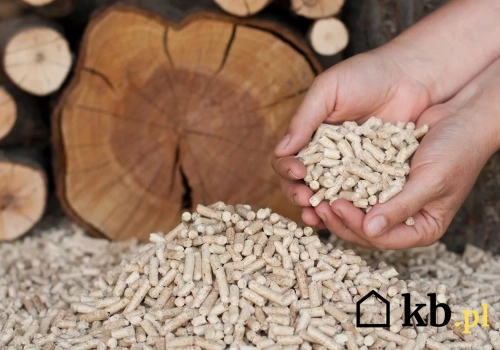Ile drzew trzeba ściąć, aby wyprodukować tonę pelletu? Znamy konkretne liczby!