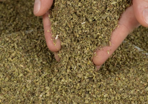 Wszyscy sypią bez opamiętania, a badania wskazały jasno. Koktajl 10 pestycydów