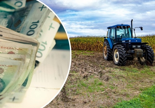 Długi rolników przekraczają 230 mln zł. „To wierzchołek góry lodowej”