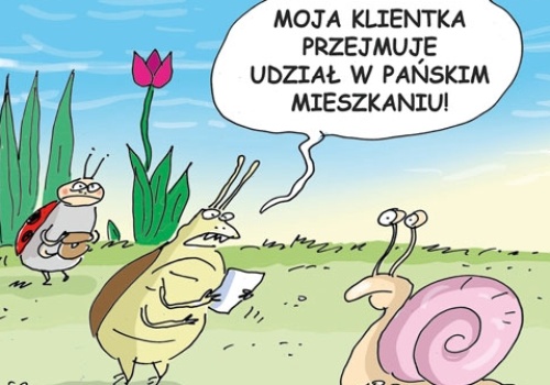 Prawnik radzi. Przejęcie nieruchomości przez wierzyciela 