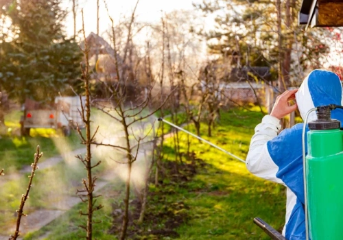 Wystarczy jeden oprysk w marcu. Spóźnisz się – w sezonie zapłacisz brakiem owoców