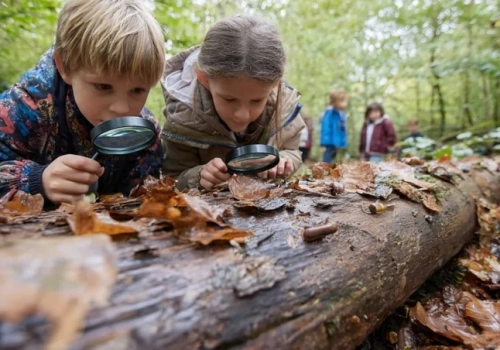 Dobra wiadomość dla rodziców. Katowice zwiększają dofinansowanie do wyjazdu na 