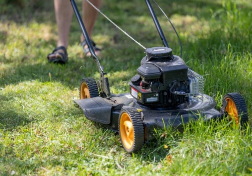 Kiedy pierwsze koszenie trawy w 2026? Nie rób tego za wcześnie, a będziesz mieć piękny ogród