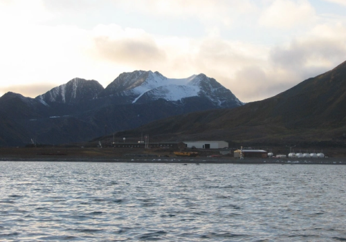 Kierownik polskiej stacji na Spitsbergenie: Arktyka jest najpiękniejsza wiosną