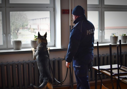 Policyjne psy służbowe szkoliły się w Zamościu. W ćwiczeniach udział wzięła także Żandarmeria Wojskowa