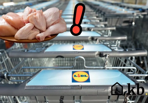 Skąd pochodzą kurczaki z Lidla? Dziennikarskie śledztwo przyniosło ciekawe wyniki