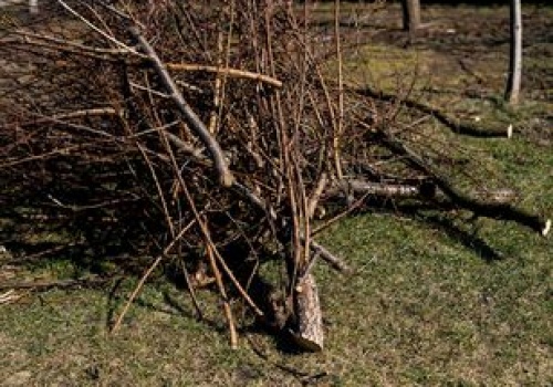 Sypią się wysokie mandaty. Kara może sięgać nawet 5 tys. zł