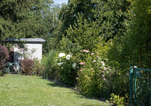 50 tys. zł dotacji dla działkowców. Ale są warunki