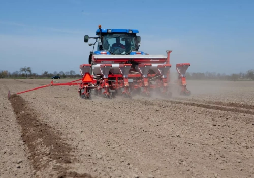 Jak wiosną ogrzać glebę?