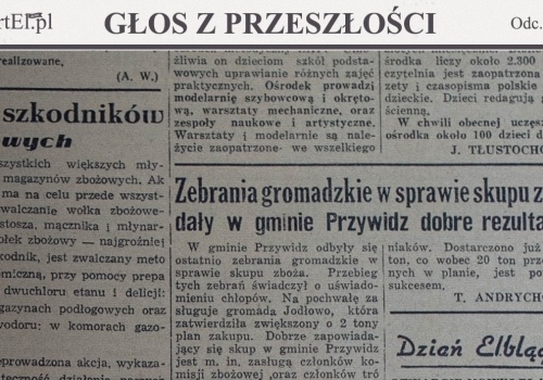 Wołek zbożowy - najgroźniejszy szkodnik (Głos z przeszłości, odc. 236)
