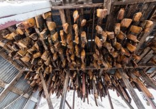 Zapach odstrasza nawet największych cwaniaków. Na Islandii to codzienność