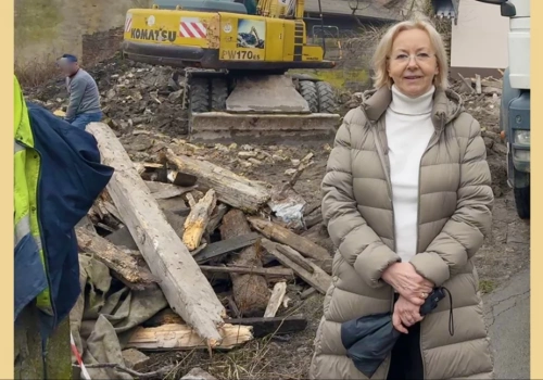 Blog: Gdzie urząd nie może, tam Babulę pośle