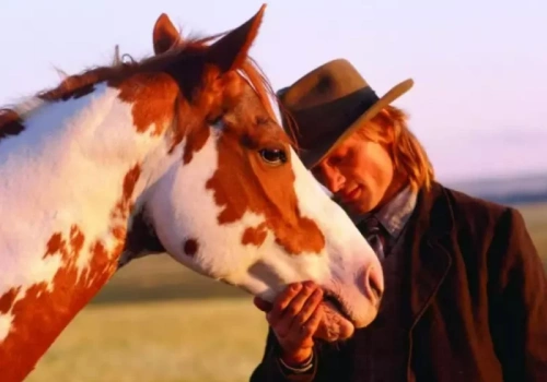 15 filmów i seriali dla miłośników koni na Rok Ognistego Konia