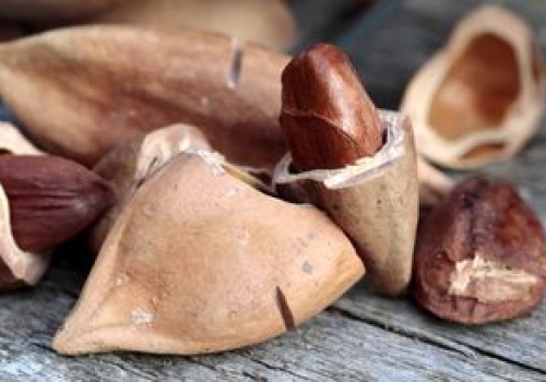 Migdały i pistacje pójdą w zapomnienie. Te orzechy rozpływają się w ustach jak masło