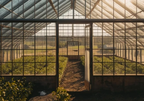 Czy od nieużywanej szklarni trzeba płacić podatek? Co powinien wiedzieć rolnik