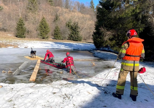 Dramatyczna akcja na stawie. Strażacy ratowali psa z lodowej pułapki