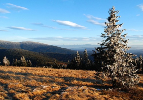 Główny Szlak Beskidzki. Koniec z oznakowaniem z lat 80. Czas na nowoczesność