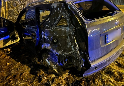 Kia uderzyła w słup, zatrzymała się w zaroślach. Obywatel Ukrainy trzeźwieje w policyjnej celi