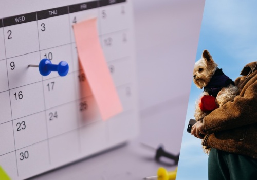 Urlop wypoczynkowy to nie wszystko. Tym osobom przysługują dodatkowe dni wolne