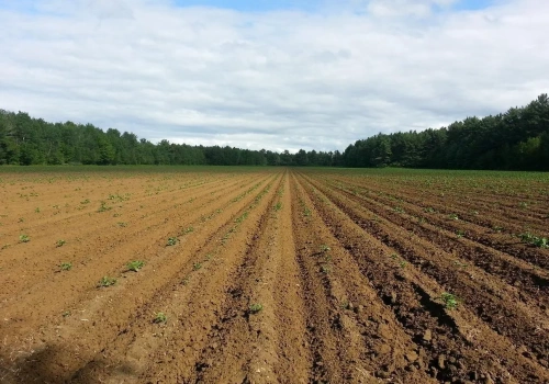 Ceny ziemi rolnej 2025. Gdzie hektar kosztuje prawie 100 tys. zł, a gdzie nieco ponad 43 tys. zł?
