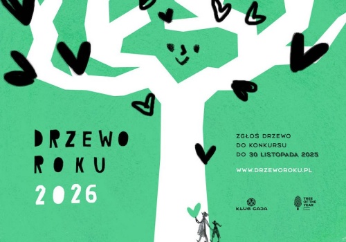 Finaliści konkursu Drzewo Roku 2026 w Polsce