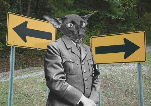 Naziści Schrödingera albo czy Hitler był lewakiem