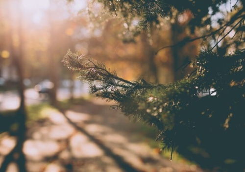 Pogoda na poniedziałek. Ciepły początek słonecznego tygodnia