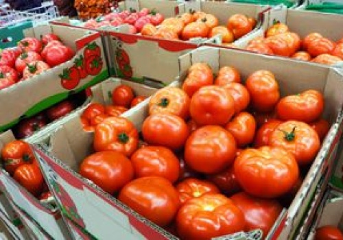 Wysłali pomidory do Polski. Zarobili 1,8 mld zł. Skąd pochodzą?