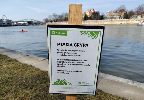 W Krakowie pojawiły się tablice informacyjne. To efekt wykrycia HPAI