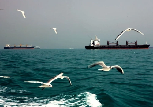 Blokada Cieśniny Ormuz. Możliwy powrót cen paliw po 6 zł za litr