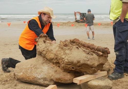 Rodzina spacerowała po plaży. Znalazła skarb sprzed milionów lat