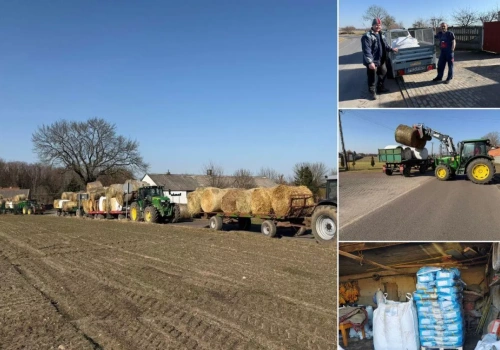 Stracił oborę i 20 byków w kilka godzin. Rolnicy nie zostawili ich samych