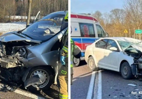 Groźny wypadek na DK16. Łoś doprowadził do czołowego zderzenia