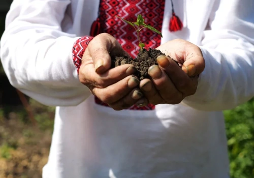 Tak pokolenie Z podchodzi do tradycyjnych wartości. Wymowna różnica w porównaniu ze starszymi