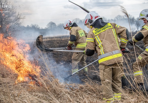 Strażacy ruszają z akcją ’STOP POŻAROM TRAW’