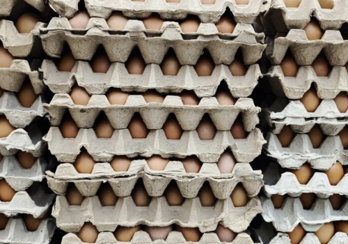 Miliard dolarów inwestycji w globalnego producenta jaj. Firma szykuje ekspansję