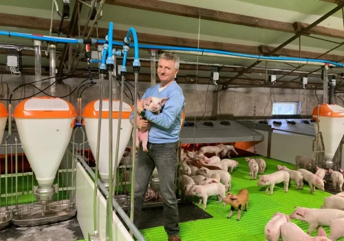 Prosięta na piętrze, wynik w Excelu. Odchowalnia, w której każdy detal pracuje na efekt