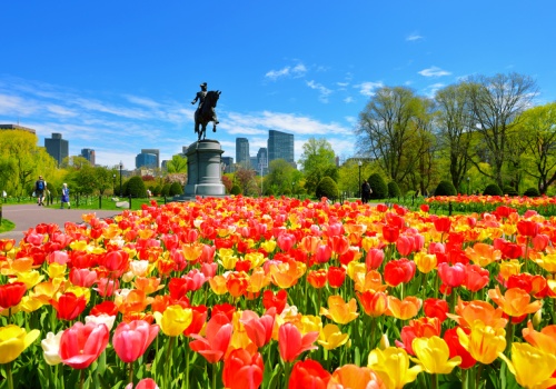 10 miejsc na wiosenna wycieczkę w USA