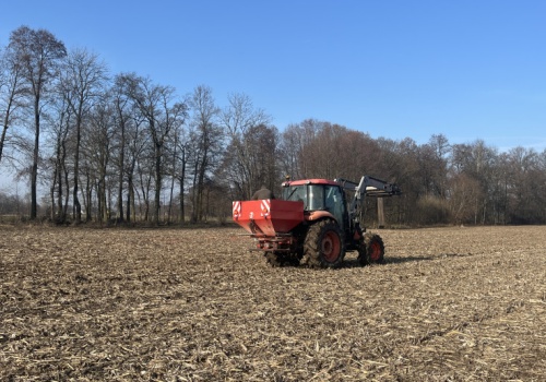 Karmić glebę, a nie rośliny. Co to oznacza? Zasada 4W w nawożeniu
