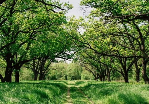 Długoterminowa prognoza pogody dla Polski. Synoptyk o nowym modelu. „Przeplatanka”