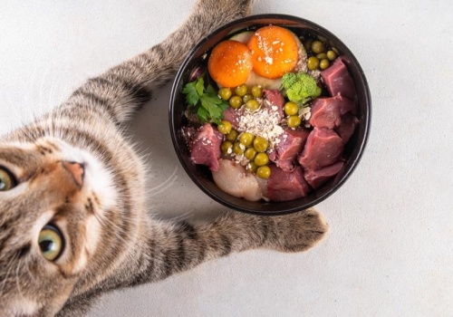 Psy hamują rynek karmy. Kupujących przyciągają koty