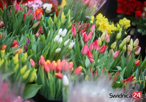 Dzień Kobiet w powiecie świdnickim. Jakie zaplanowano wydarzenia?