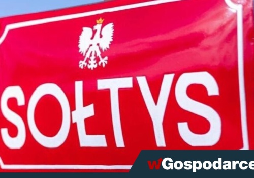 Sołtys na zagrodzie równy wojewodzie?