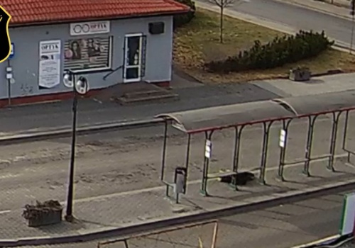 Strażacy pokazali film. Wszystko widać na nim jak na dłoni. 