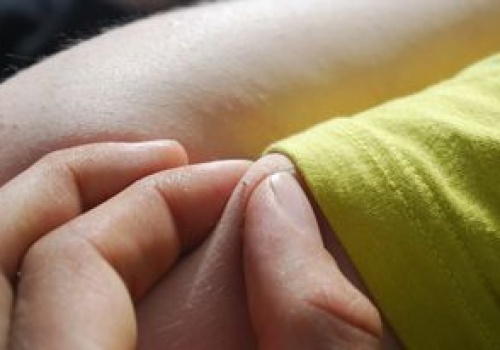 Nie lekceważ ich. Te owady są już aktywne i równie groźne, co kleszcze