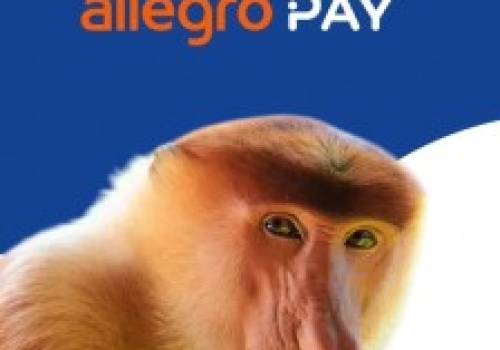 Zgarnij od jutra bony 3×30 zł na Allegro! Wystarczy, że aktywujesz usługę Allegro Pay