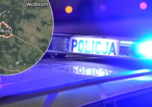 Seria tajemniczych zgonów pod Olkuszem. 