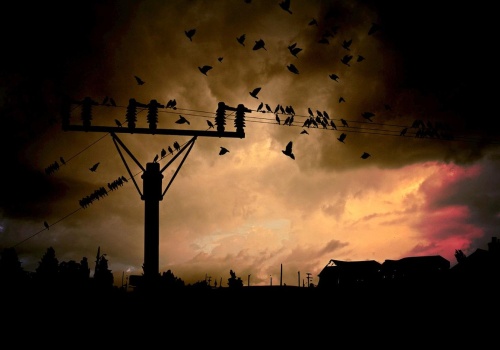 W Rzeszowie i okolicach znów zabraknie prądu. Sprawdźcie listę wyłączeń energii elektrycznej