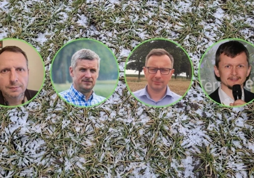 Pszenicy jarej może zabraknąć? Eksperci radzą: nie zwlekaj z zakupem